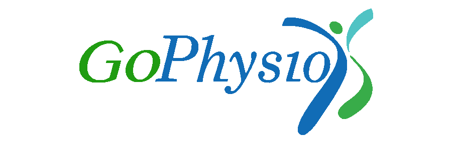 GoPhysio Remote Physical Therapy System