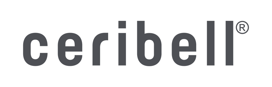Ceribell EEG